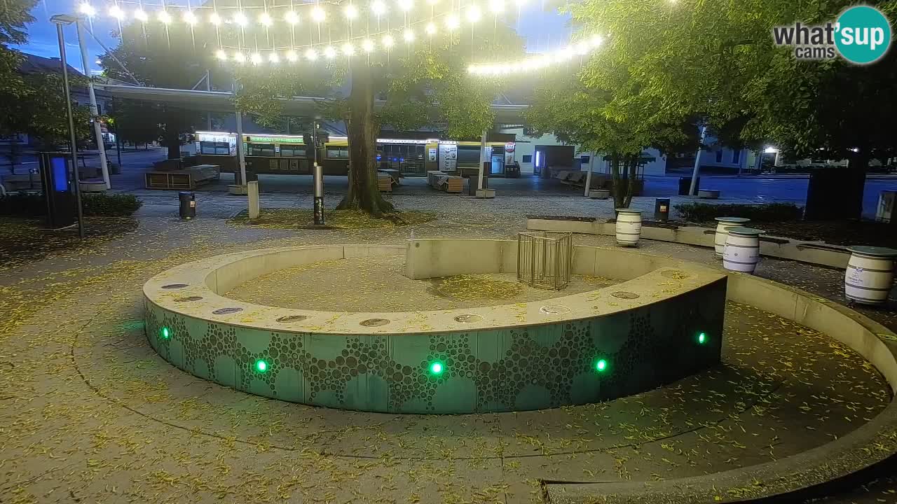 Fontaine à bière LIVE webcam – Or vert – Žalec