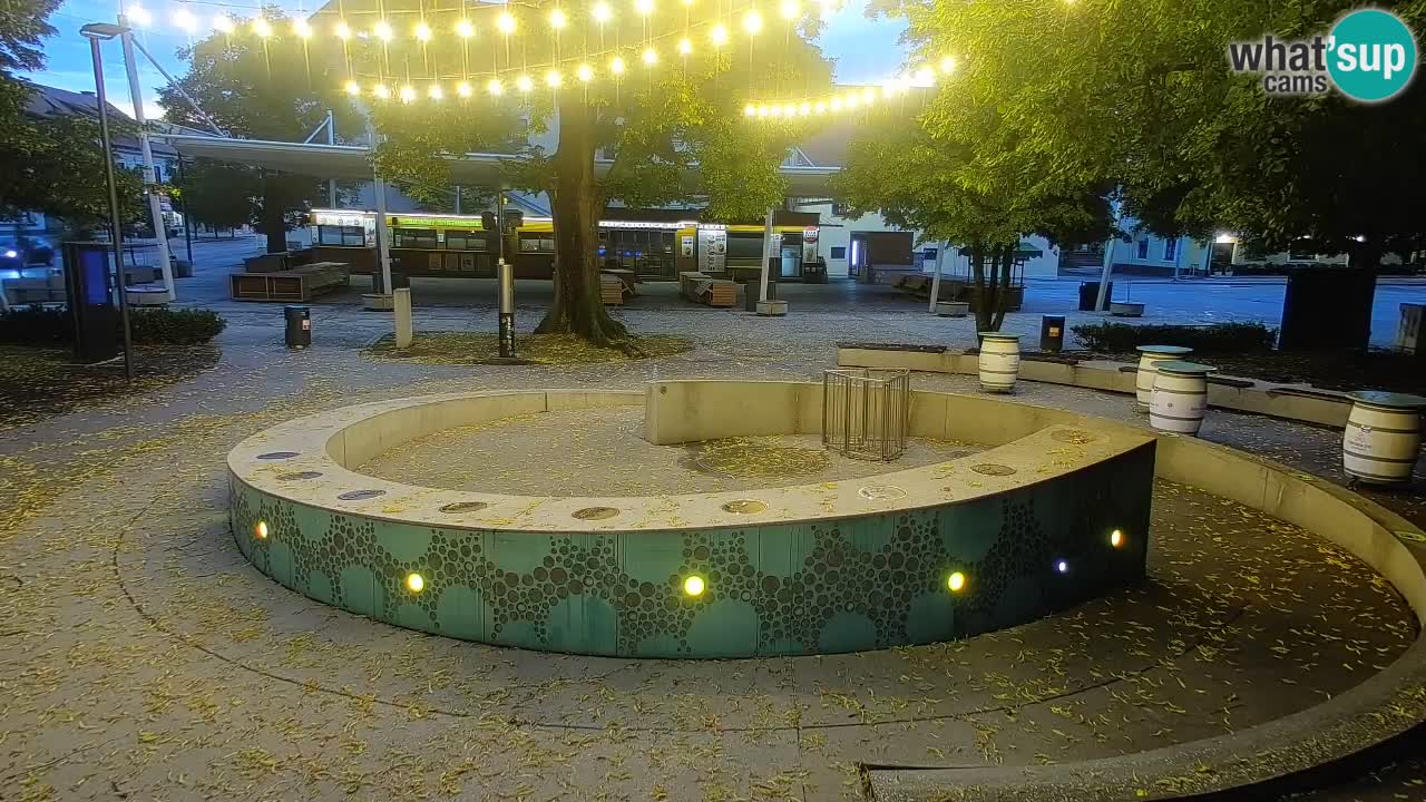 Camera en vivo Fuente de cerveza – Oro verde – Žalec
