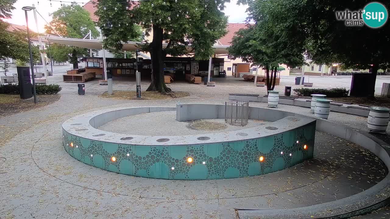 Fontaine à bière LIVE webcam – Or vert – Žalec