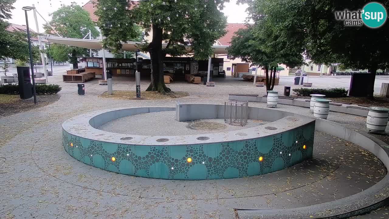 Fontaine à bière LIVE webcam – Or vert – Žalec