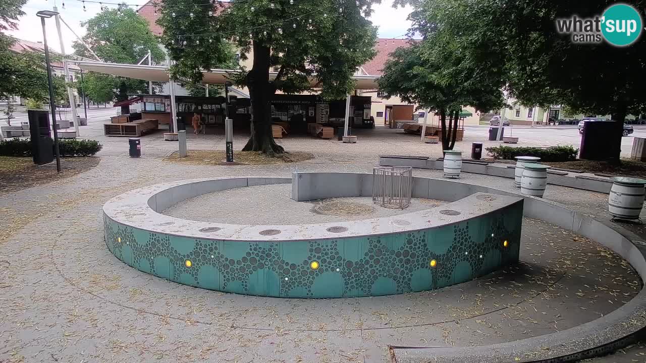 Bier-Springbrunnen Webcam Žalec – Grünen Goldes