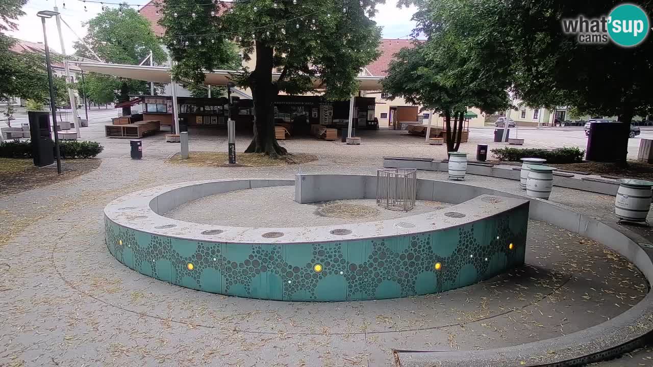 Bier-Springbrunnen Webcam Žalec – Grünen Goldes