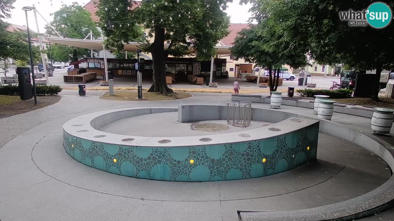 Fontana di birra Webcam – Oro verde – Žalec