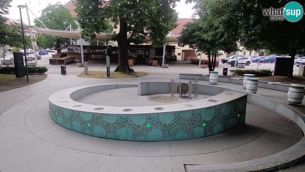 Bier-Springbrunnen Webcam Žalec – Grünen Goldes
