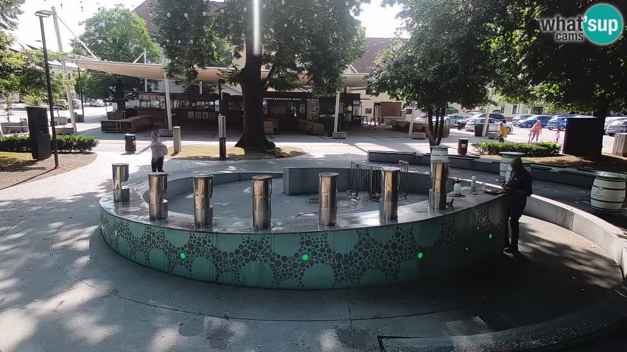 Fontana di birra Webcam – Oro verde – Žalec