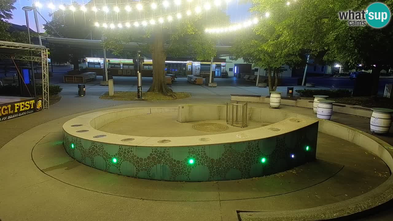 Bier-Springbrunnen Webcam Žalec – Grünen Goldes