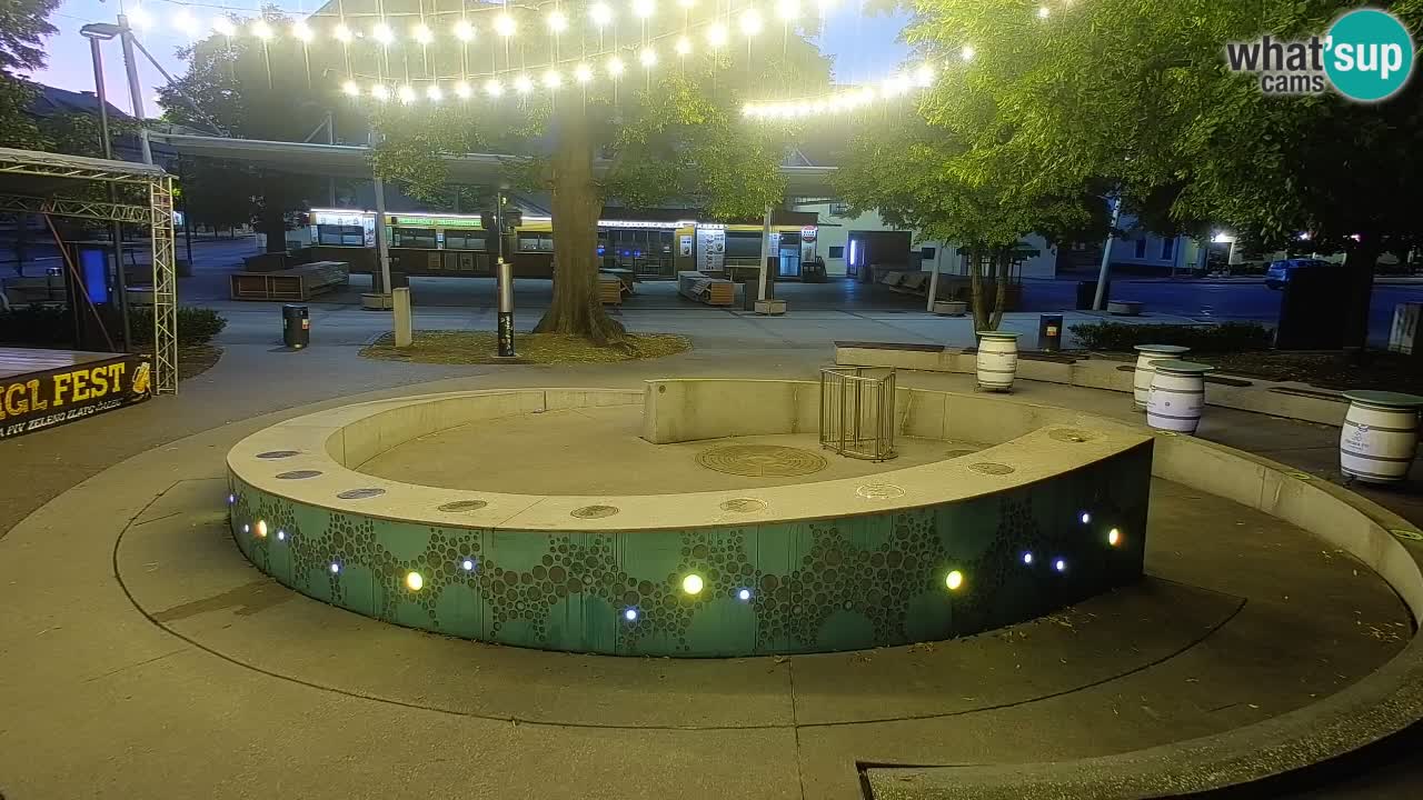 Camera en vivo Fuente de cerveza – Oro verde – Žalec