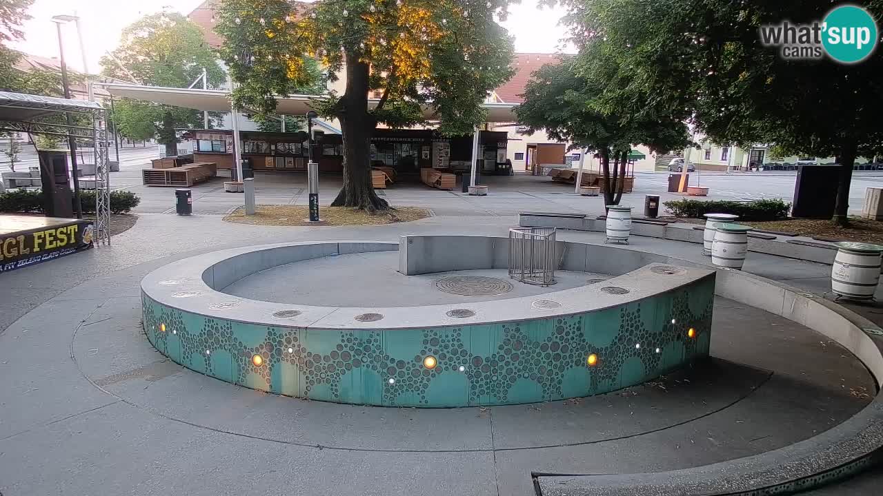Bier-Springbrunnen Webcam Žalec – Grünen Goldes