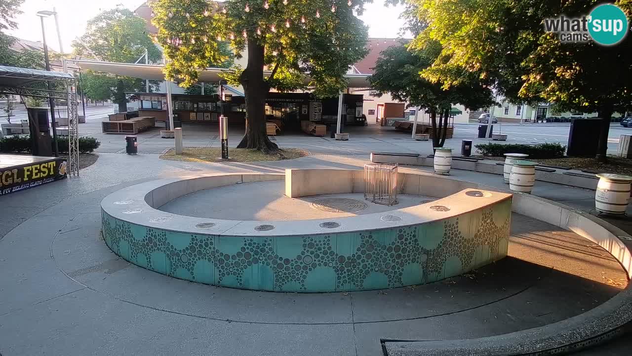 Fontaine à bière LIVE webcam – Or vert – Žalec