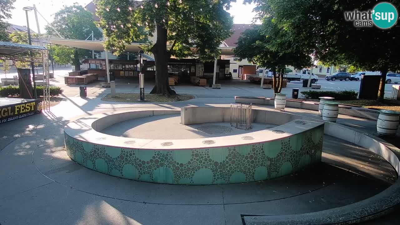 Bier-Springbrunnen Webcam Žalec – Grünen Goldes