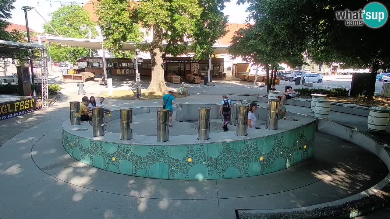 Web kamera Fontana piva – Zeleno zlato – Žalec