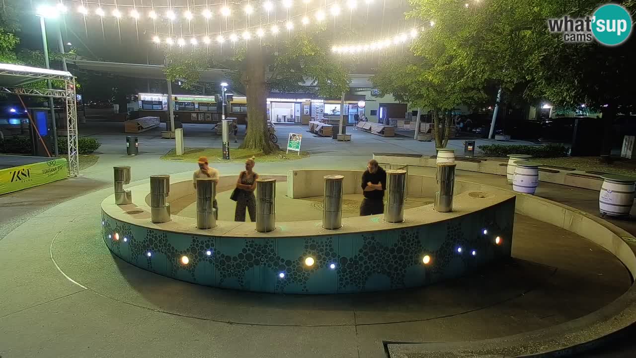 Fontana di birra Webcam – Oro verde – Žalec