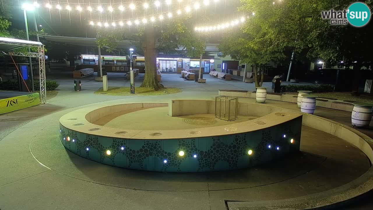 Fontana di birra Webcam – Oro verde – Žalec