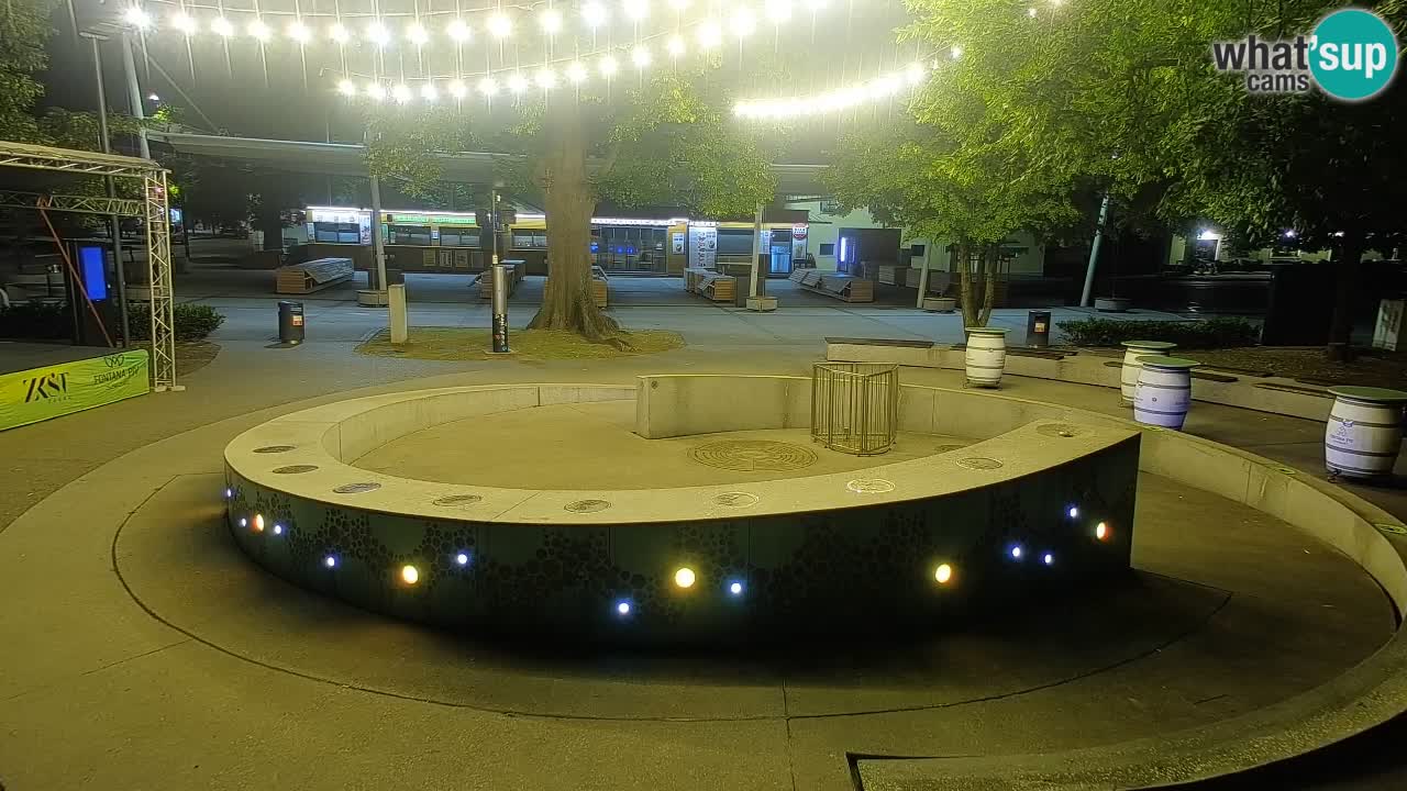 Bier-Springbrunnen Webcam Žalec – Grünen Goldes