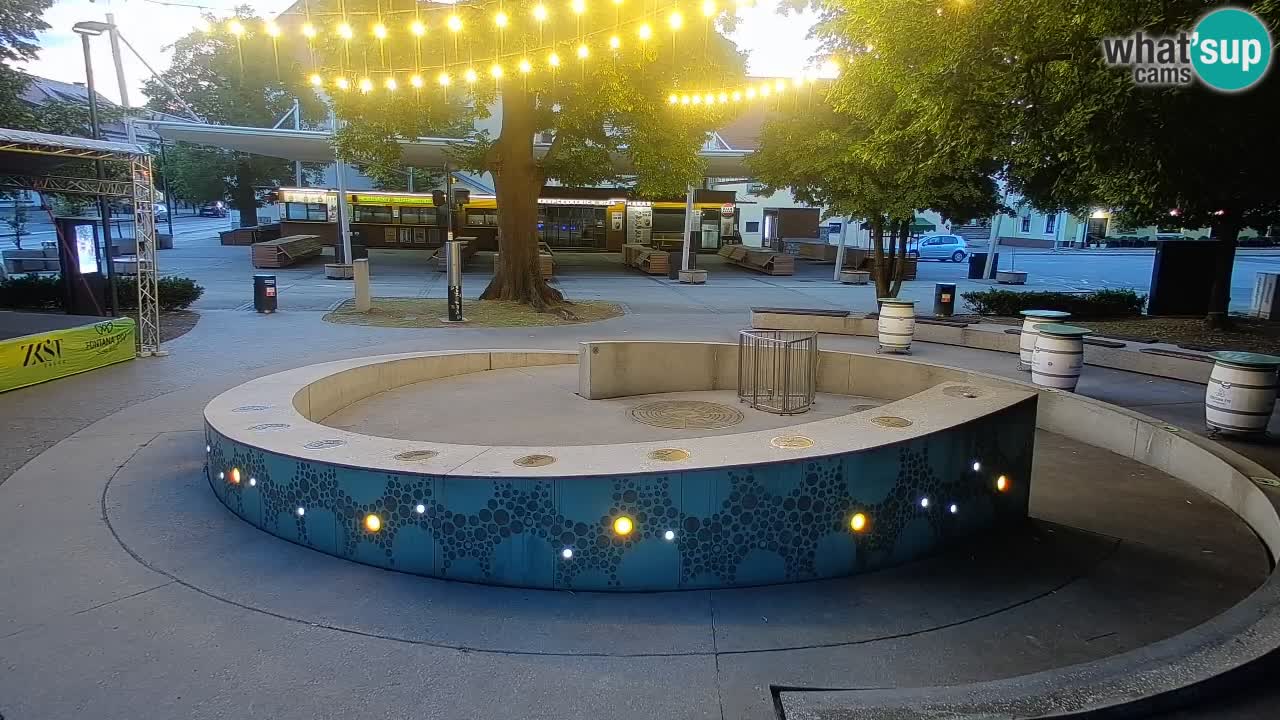 Bier-Springbrunnen Webcam Žalec – Grünen Goldes