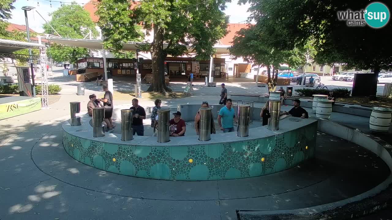 Fontana di birra Webcam – Oro verde – Žalec