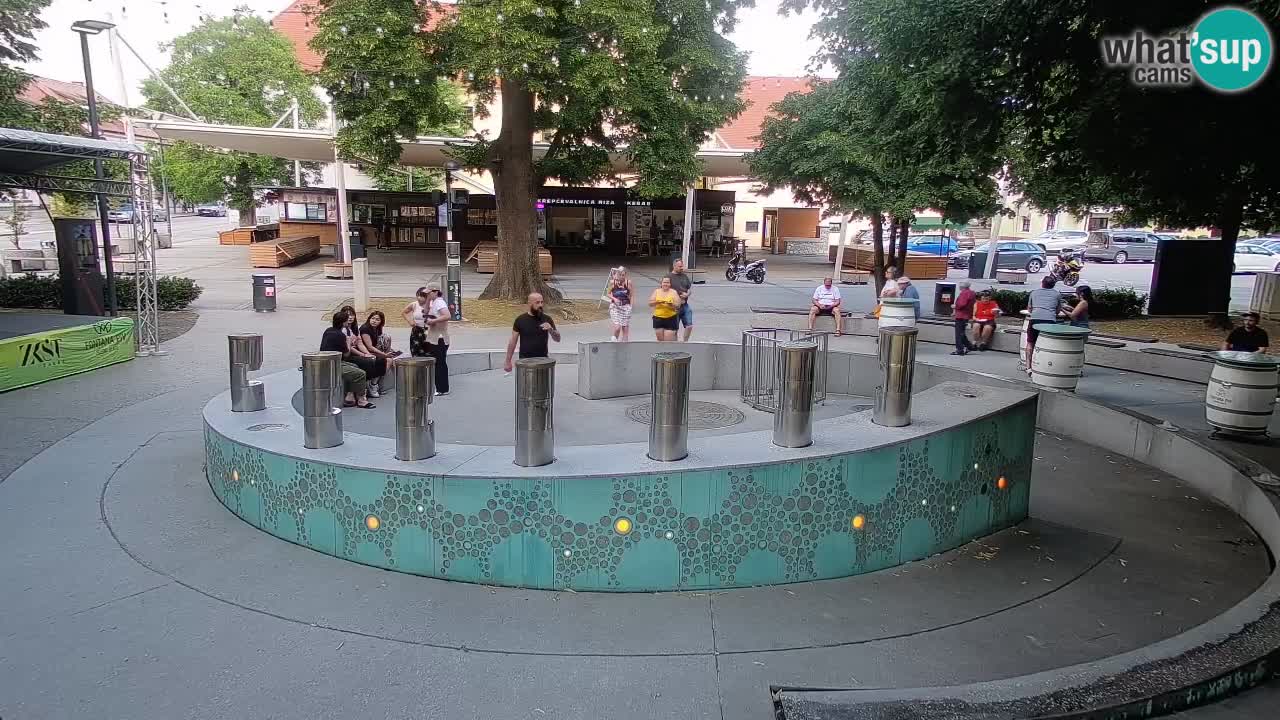 Bier-Springbrunnen Webcam Žalec – Grünen Goldes