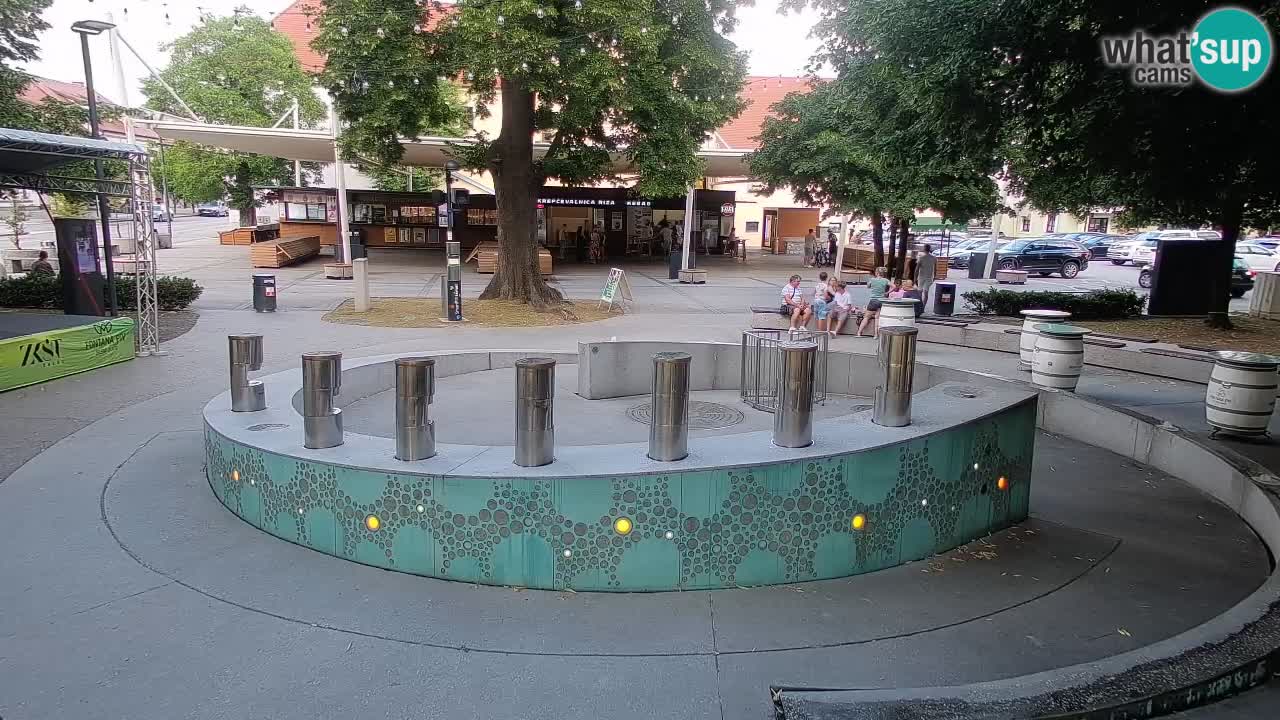 Bier-Springbrunnen Webcam Žalec – Grünen Goldes