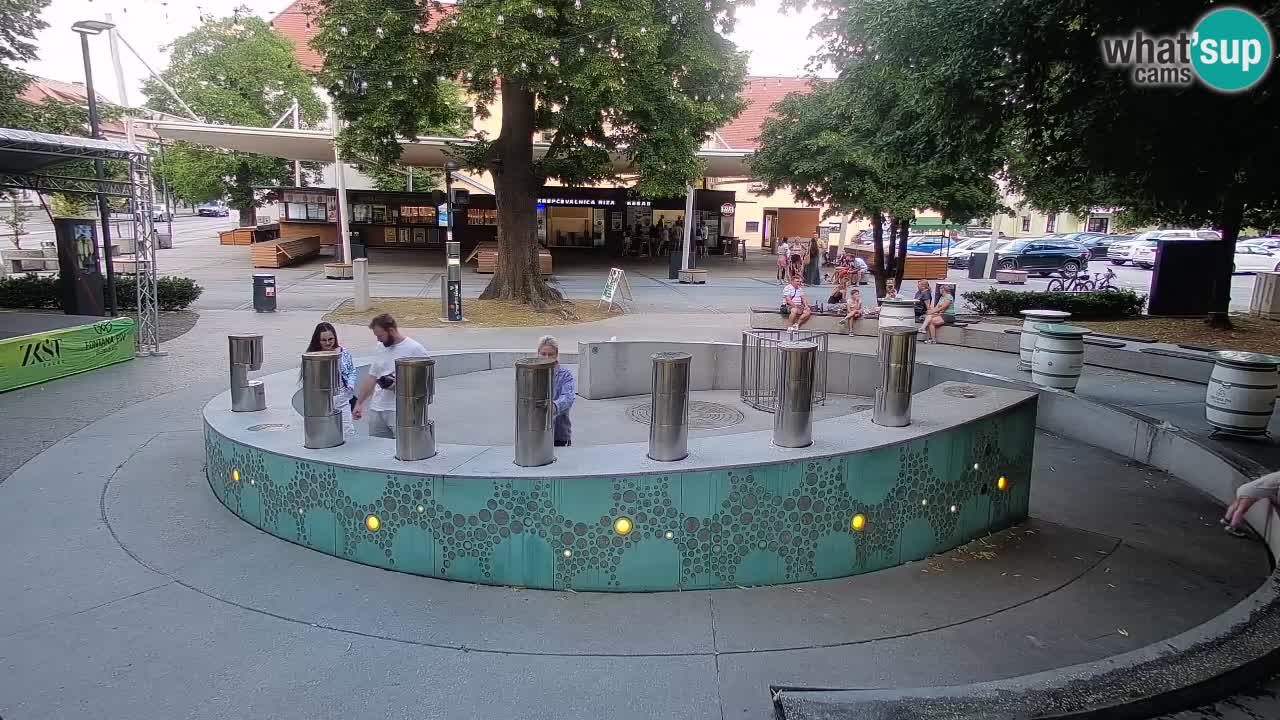 Web kamera Fontana piva – Zeleno zlato – Žalec