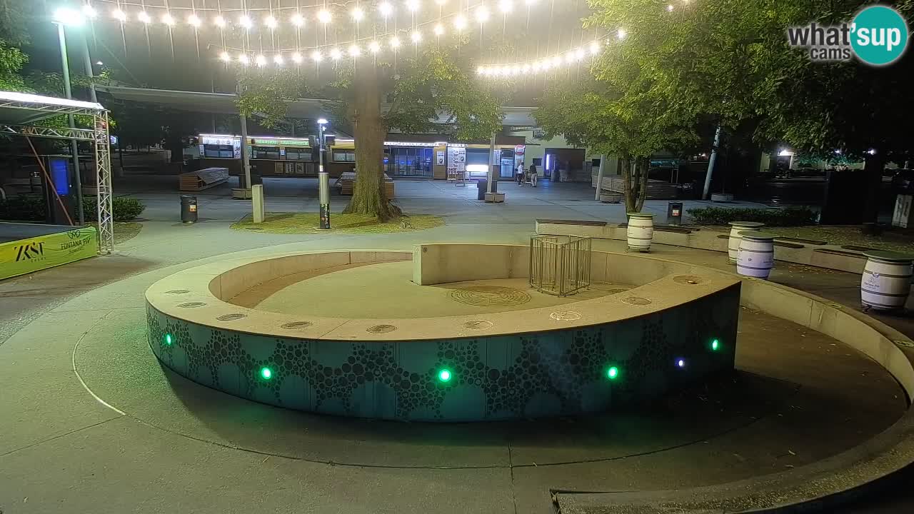 Fontaine à bière LIVE webcam – Or vert – Žalec