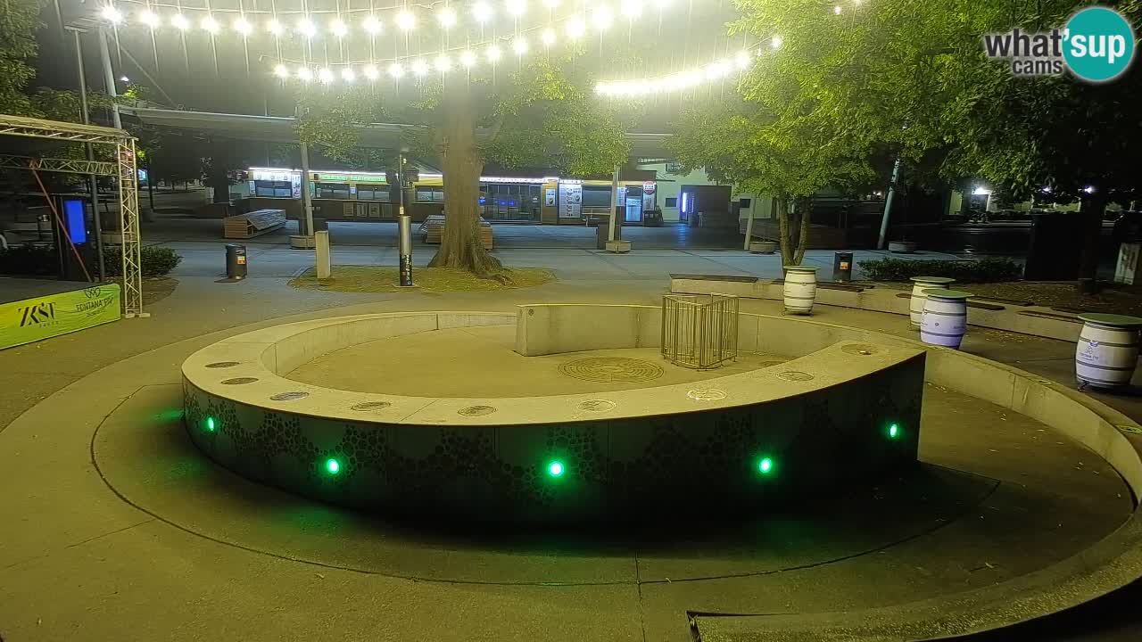 Spletna kamera Fontana Piv – Zeleno zlato Žalec