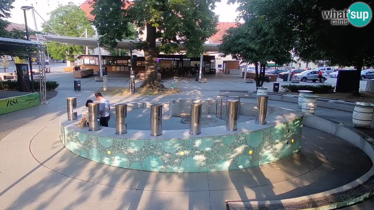 Web kamera Fontana piva – Zeleno zlato – Žalec