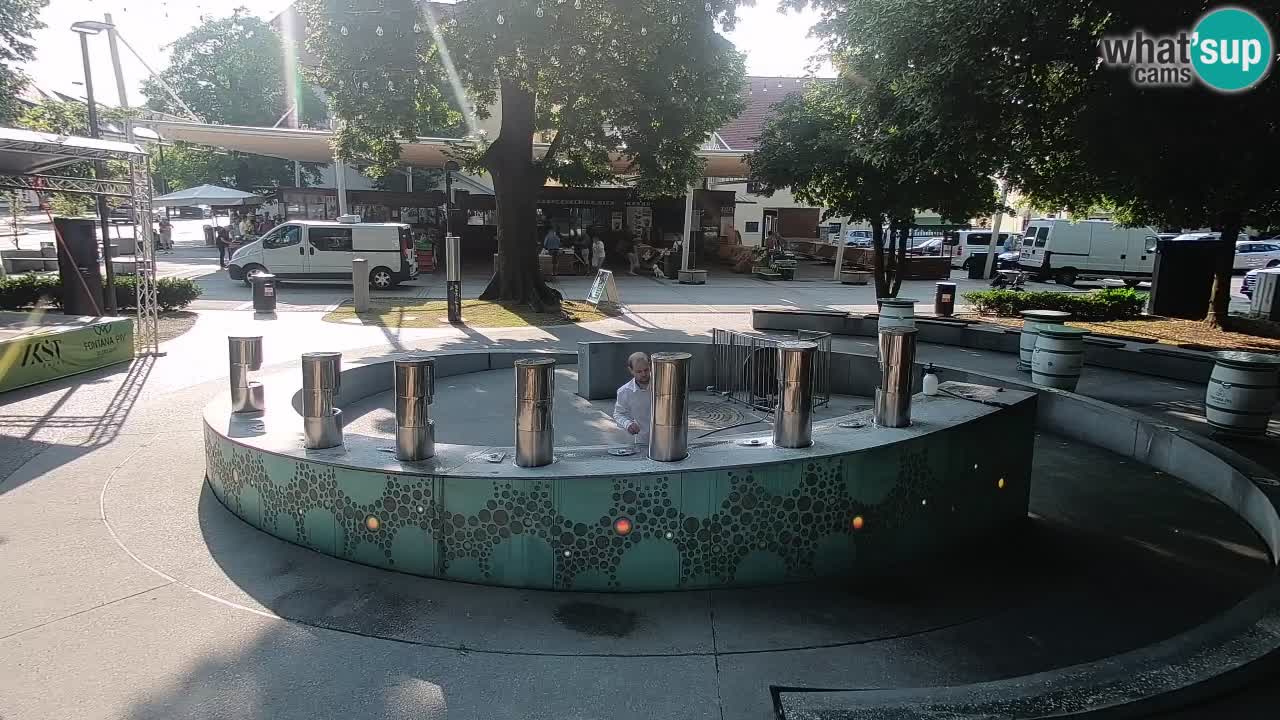 Fontaine à bière LIVE webcam – Or vert – Žalec
