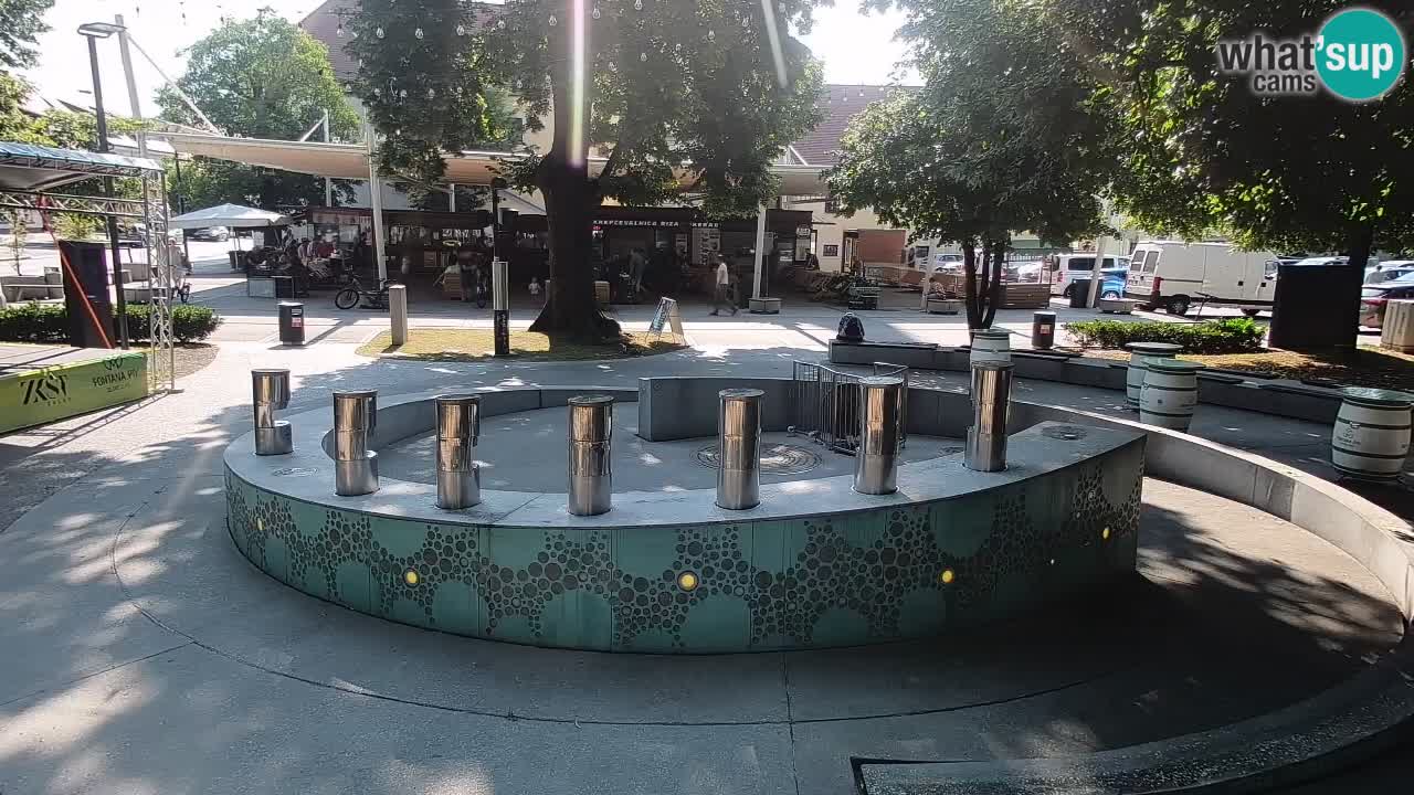 Fontaine à bière LIVE webcam – Or vert – Žalec