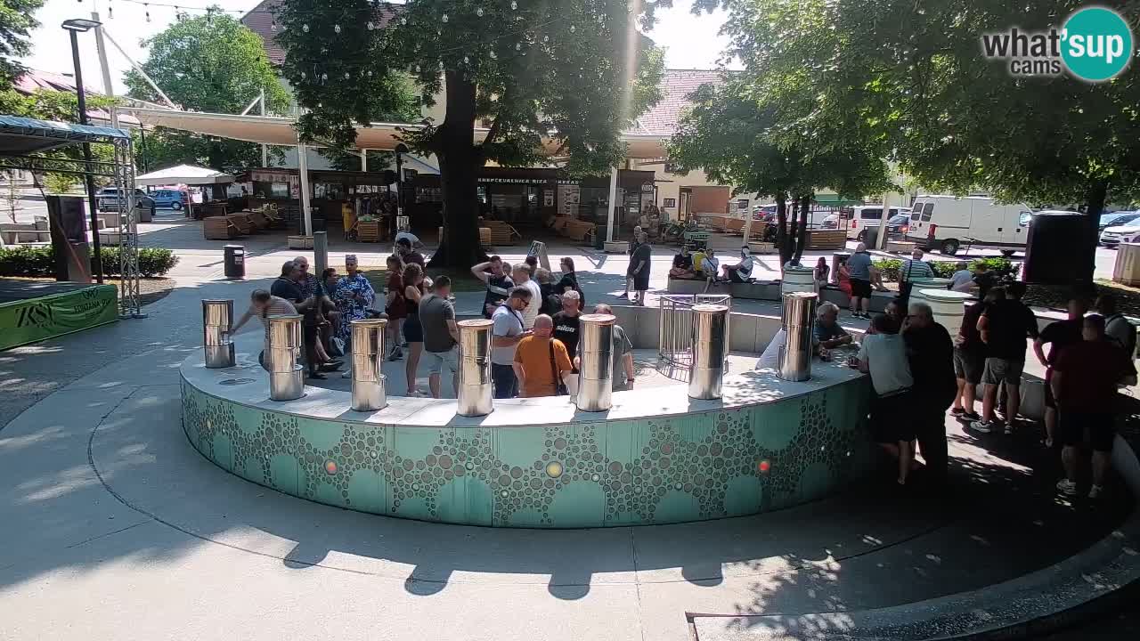 Camera en vivo Fuente de cerveza – Oro verde – Žalec