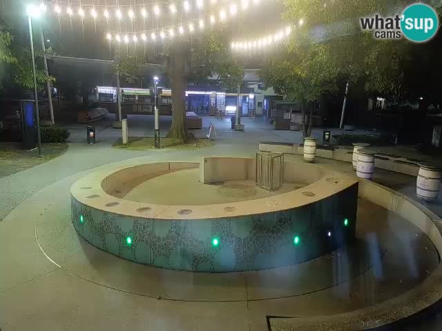 Fontaine à bière LIVE webcam – Or vert – Žalec