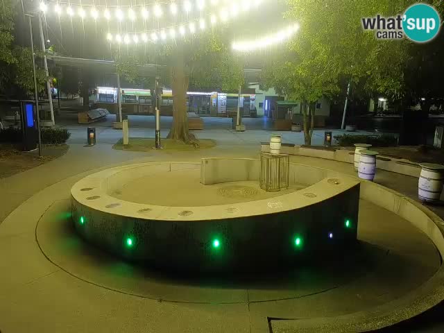Fontana di birra Webcam – Oro verde – Žalec