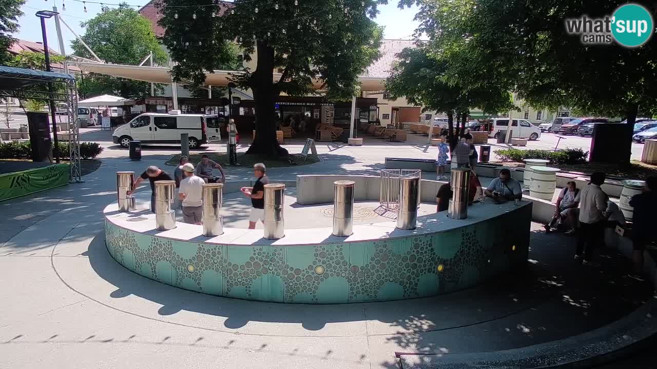 Bier-Springbrunnen Webcam Žalec – Grünen Goldes