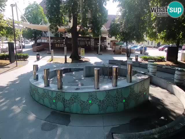 Bier-Springbrunnen Webcam Žalec – Grünen Goldes