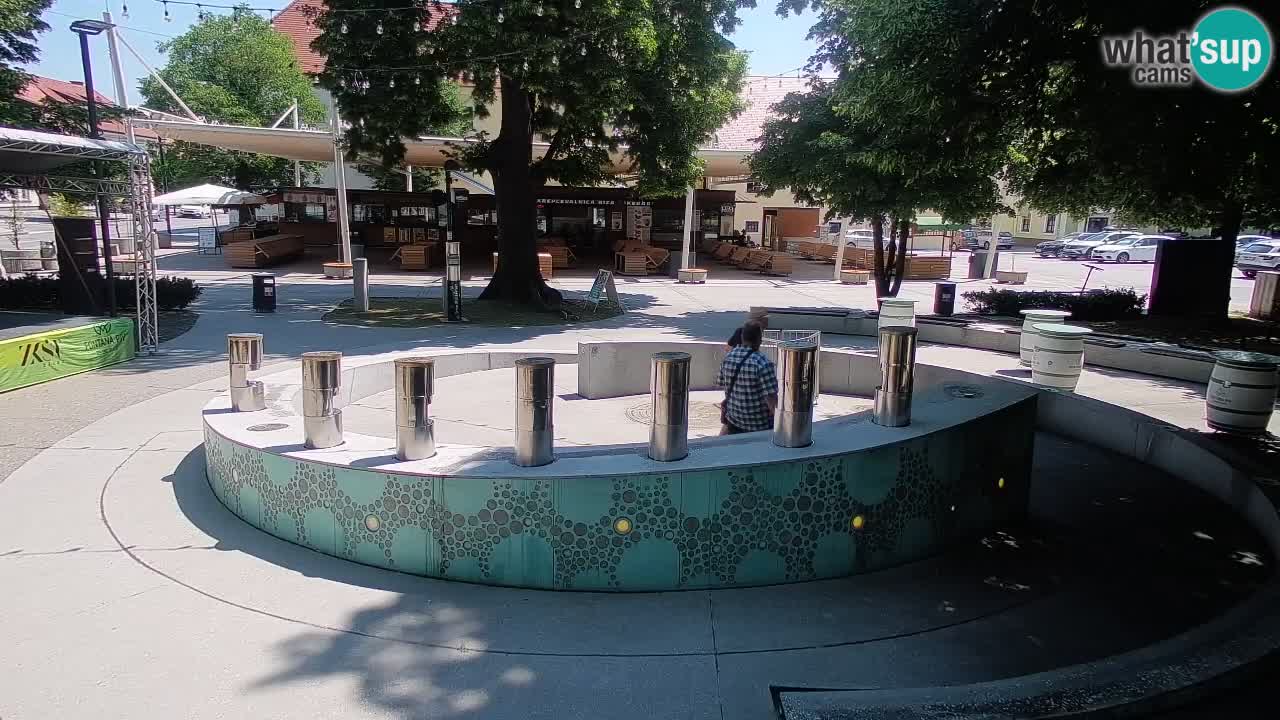Bier-Springbrunnen Webcam Žalec – Grünen Goldes