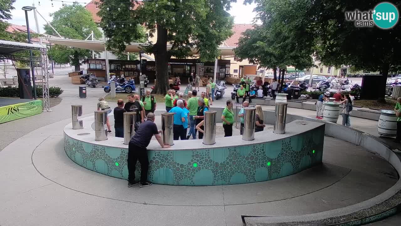 Fontana di birra Webcam – Oro verde – Žalec