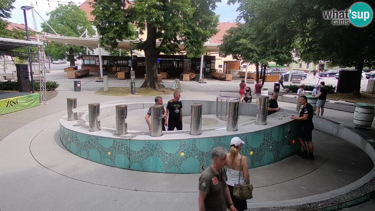 Spletna kamera Fontana Piv – Zeleno zlato Žalec