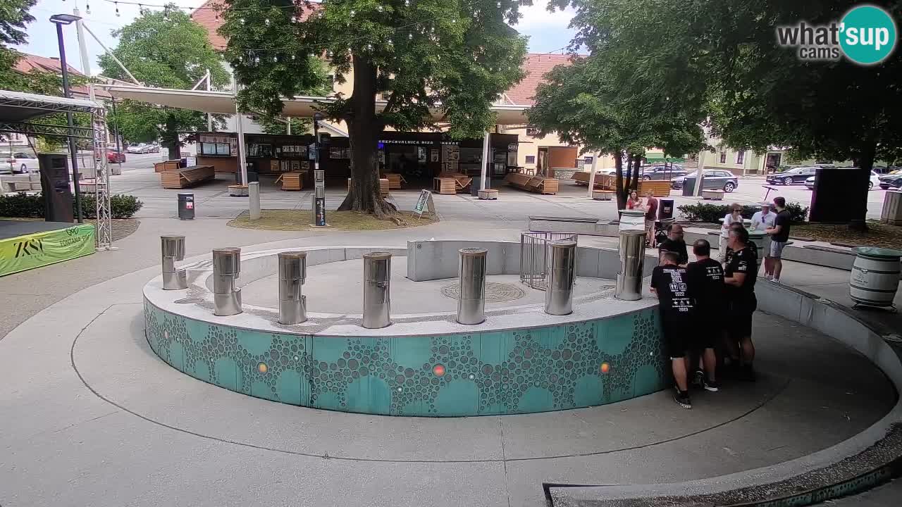 Fontana di birra Webcam – Oro verde – Žalec