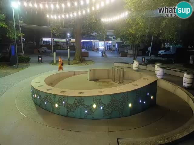 Fontaine à bière LIVE webcam – Or vert – Žalec
