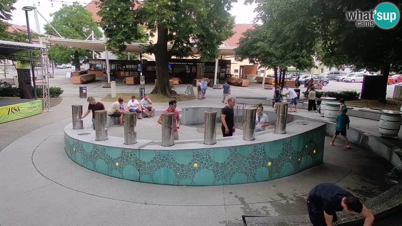 Spletna kamera Fontana Piv – Zeleno zlato Žalec
