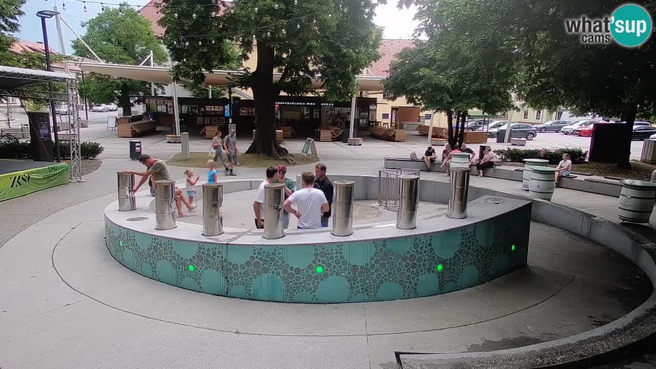 Spletna kamera Fontana Piv – Zeleno zlato Žalec