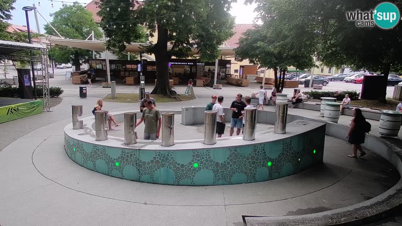 Camera en vivo Fuente de cerveza – Oro verde – Žalec