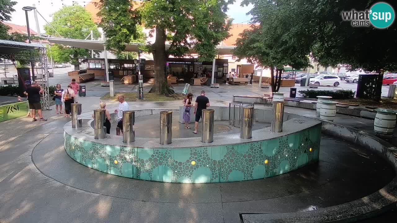 Fontaine à bière LIVE webcam – Or vert – Žalec