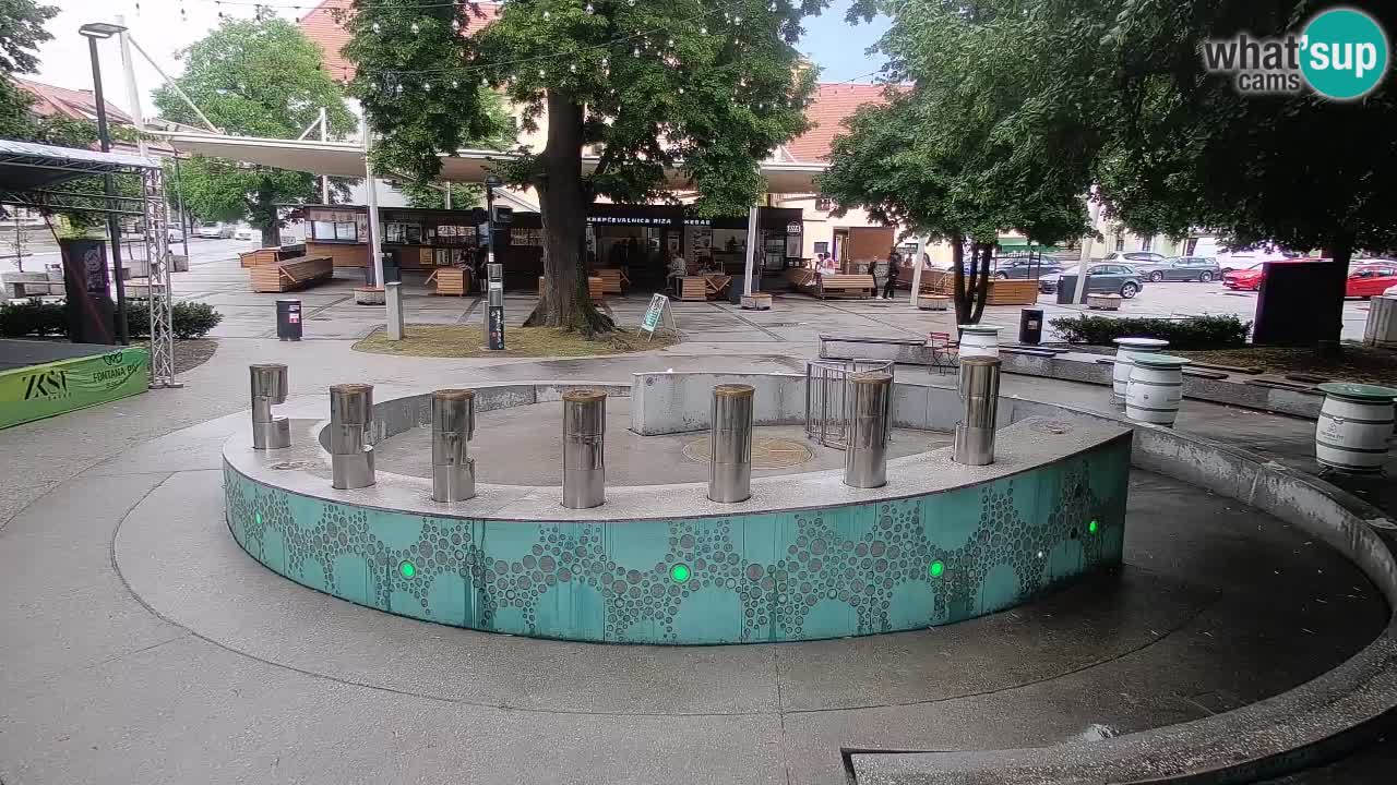 Fontana di birra Webcam – Oro verde – Žalec