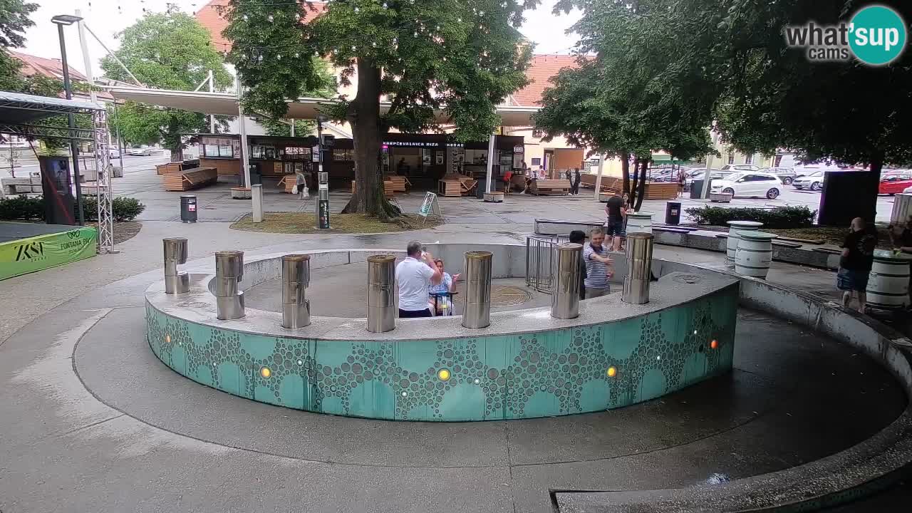 Camera en vivo Fuente de cerveza – Oro verde – Žalec