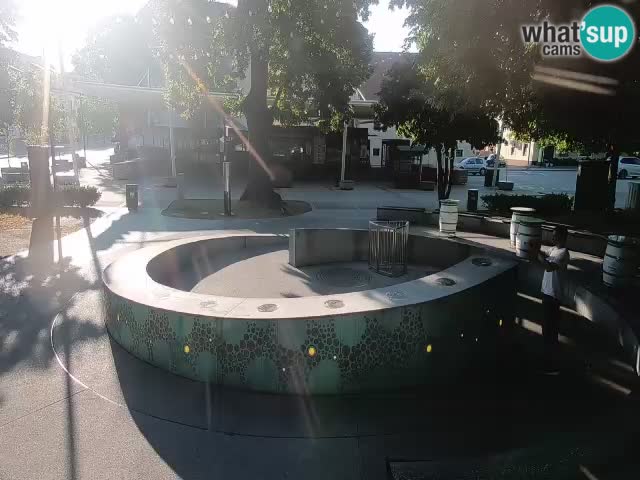 Bier-Springbrunnen Webcam Žalec – Grünen Goldes