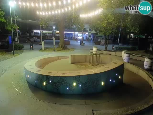 Bier-Springbrunnen Webcam Žalec – Grünen Goldes