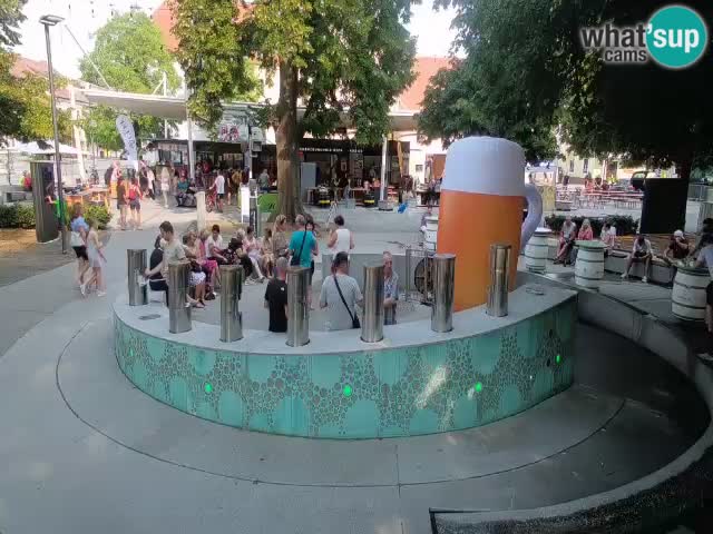 Bier-Springbrunnen Webcam Žalec – Grünen Goldes