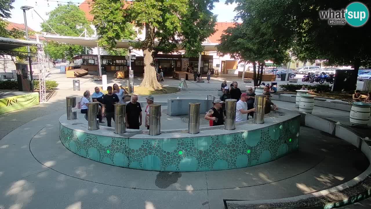 Spletna kamera Fontana Piv – Zeleno zlato Žalec