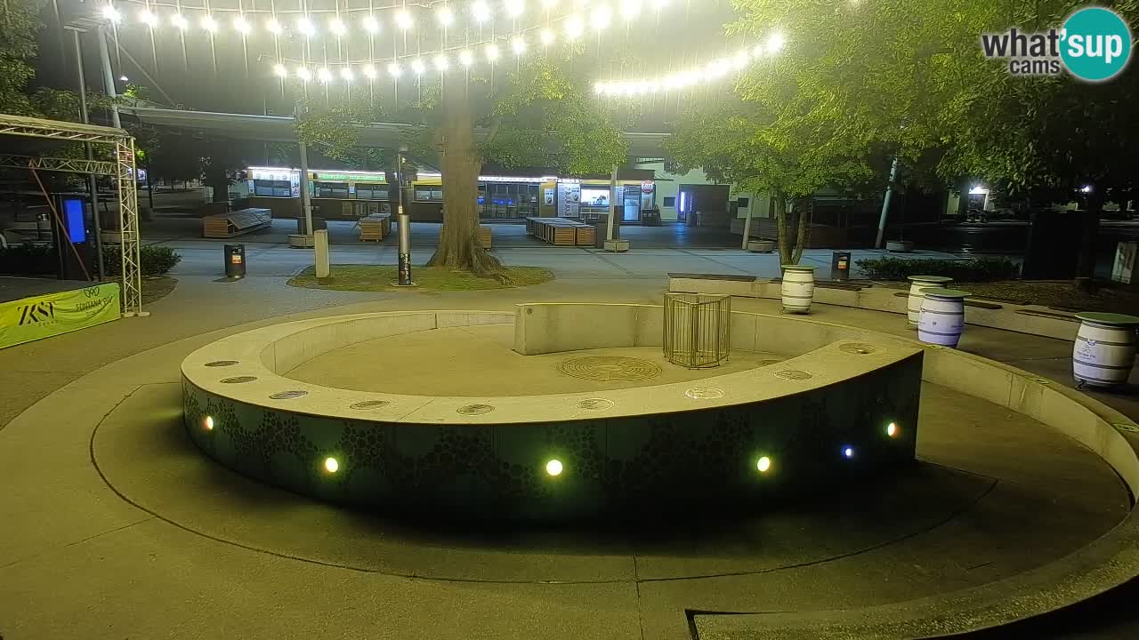Fontana di birra Webcam – Oro verde – Žalec