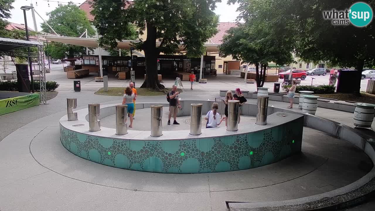 Fontaine à bière LIVE webcam – Or vert – Žalec